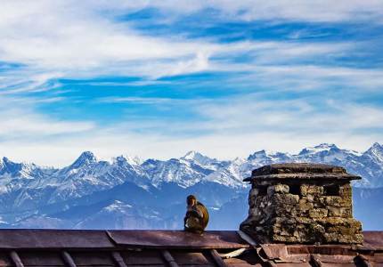 Dalhousie Taxi Booking