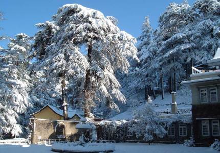 Shimla Taxi Booking