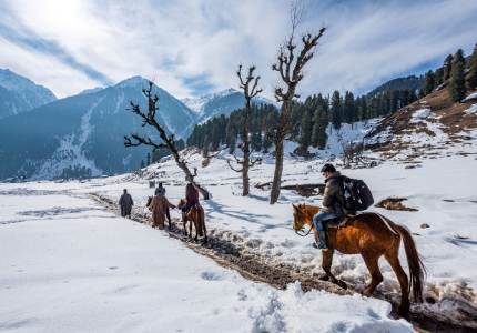 Jammu to Valley & Gardens: 7-Day Trip via Chandigarh