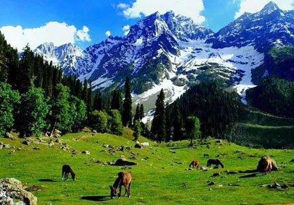 Scenic Kashmir Valley Tour: Jammu to Gulmarg, Pahalgam