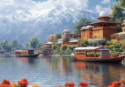Srinagar Tours