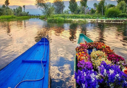 Chandigarh to Kashmir Valley Trip